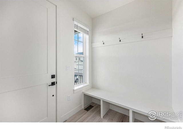 mudroom featuring light wood-type flooring and plenty of natural light