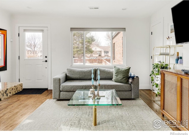 living room featuring hardwood / wood-style floors