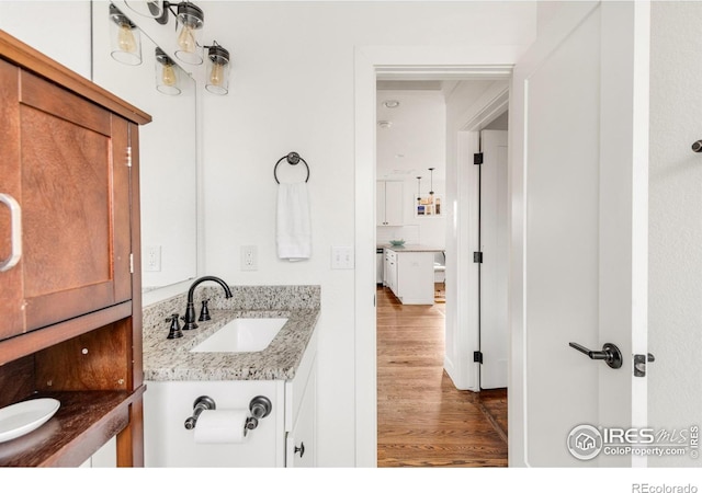 bathroom featuring vanity and wood-type flooring