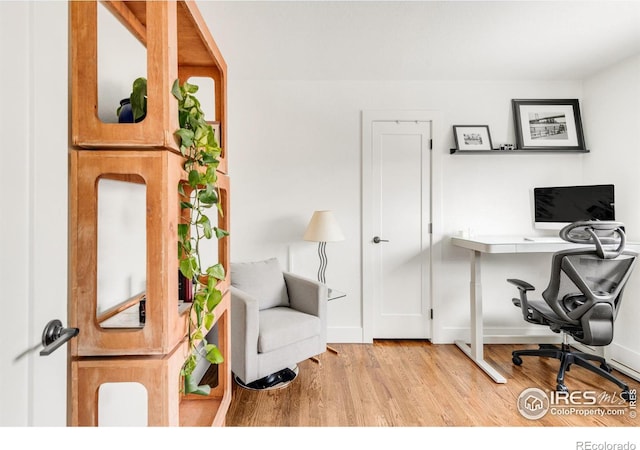 office space featuring light hardwood / wood-style floors