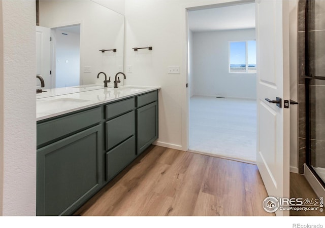 bathroom featuring vanity and wood-type flooring