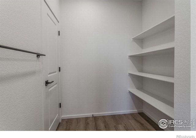 walk in closet featuring dark hardwood / wood-style flooring