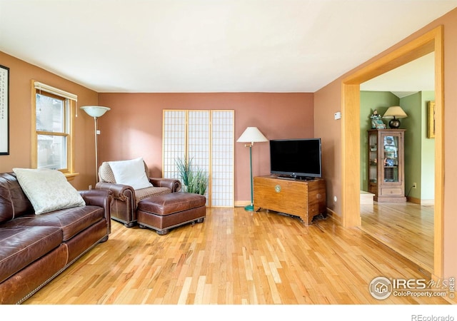 living room featuring light wood-type flooring