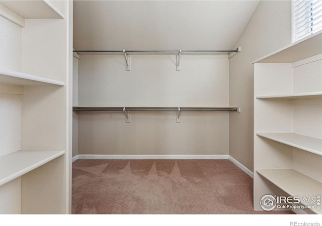 walk in closet featuring carpet flooring