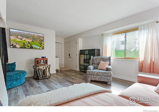 living room featuring light hardwood / wood-style floors and a textured ceiling