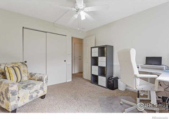 carpeted home office with ceiling fan