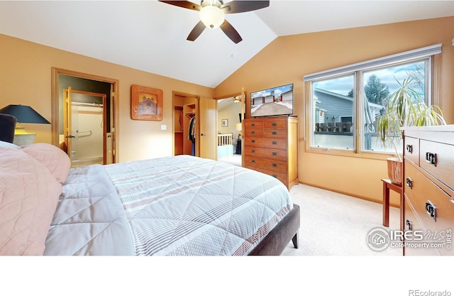 carpeted bedroom with a walk in closet, a closet, lofted ceiling, and ceiling fan