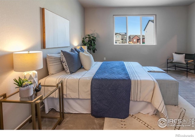 bedroom featuring carpet floors