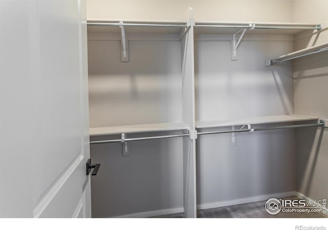 spacious closet with dark colored carpet