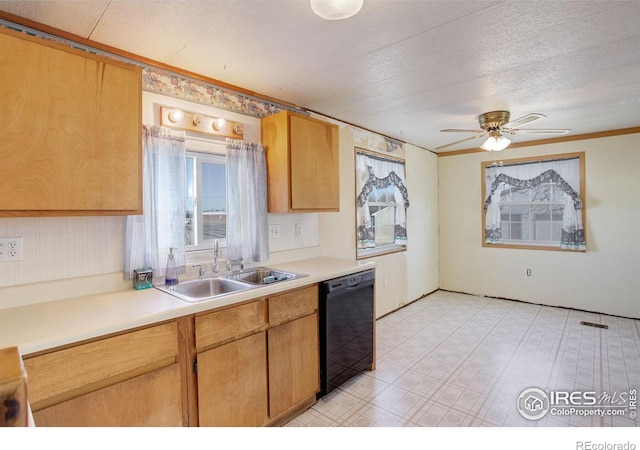 kitchen featuring dishwasher, sink, ceiling fan, ornamental molding, and a textured ceiling