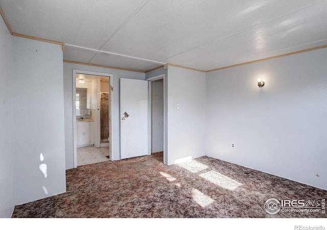 empty room with light carpet and crown molding