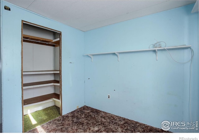 spacious closet featuring carpet floors