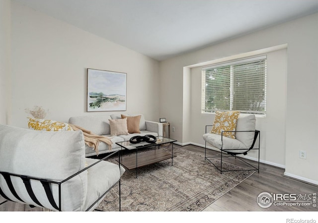 living room featuring hardwood / wood-style floors and lofted ceiling