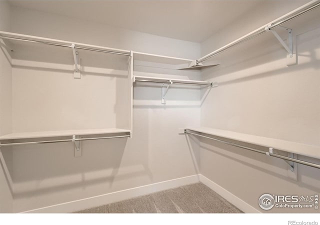 spacious closet with light carpet