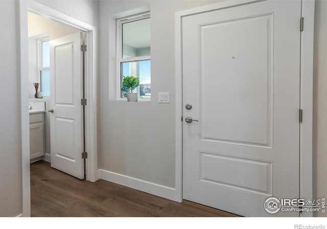 doorway to outside with dark hardwood / wood-style floors