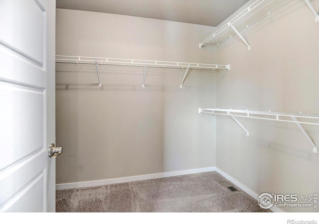 spacious closet with carpet flooring and visible vents