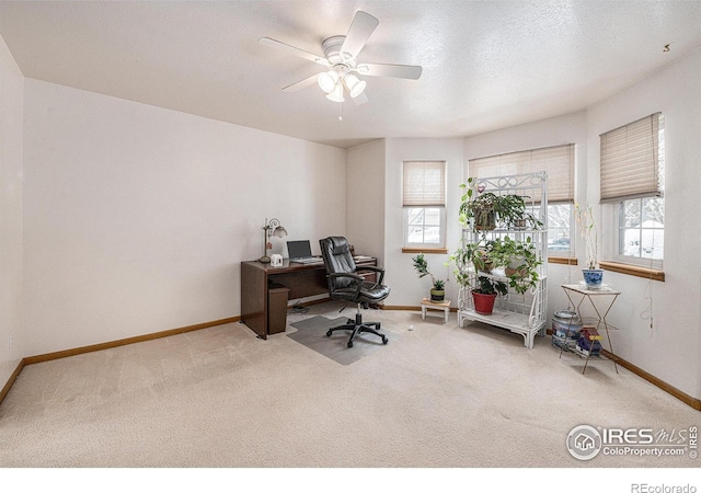 carpeted home office with ceiling fan