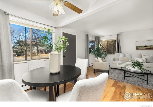 dining room featuring hardwood / wood-style floors, a baseboard radiator, a wealth of natural light, and ceiling fan