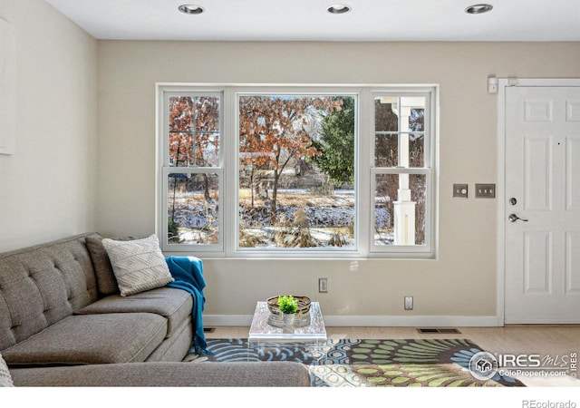 living room featuring hardwood / wood-style floors