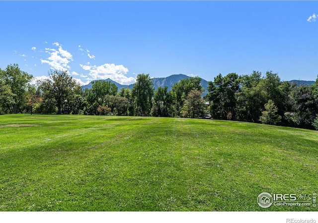 view of yard with a mountain view