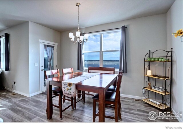 1663 Corby Dr, Windsor, CO 80550 - photo 8