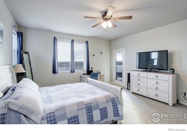 1663 Corby Dr, Windsor, CO 80550 - photo 11