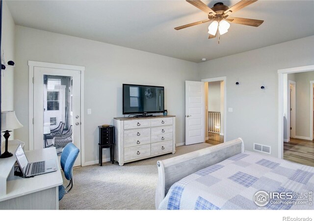 1663 Corby Dr, Windsor, CO 80550 - photo 12