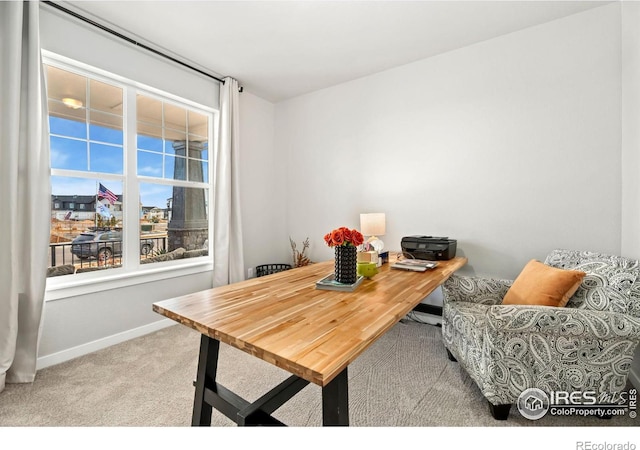 home office with light colored carpet