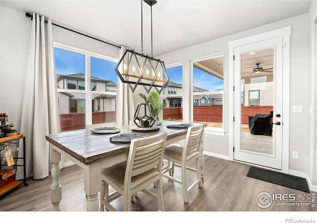 dining area featuring ceiling fan with notable chandelier and hardwood / wood-style flooring