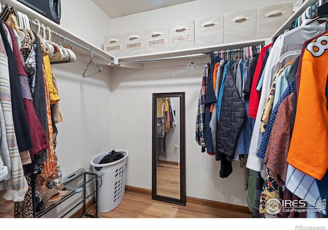 spacious closet featuring light hardwood / wood-style floors