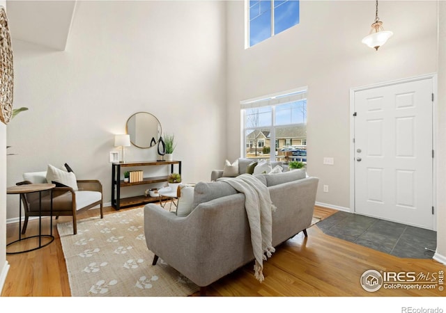 living room with a high ceiling and hardwood / wood-style flooring