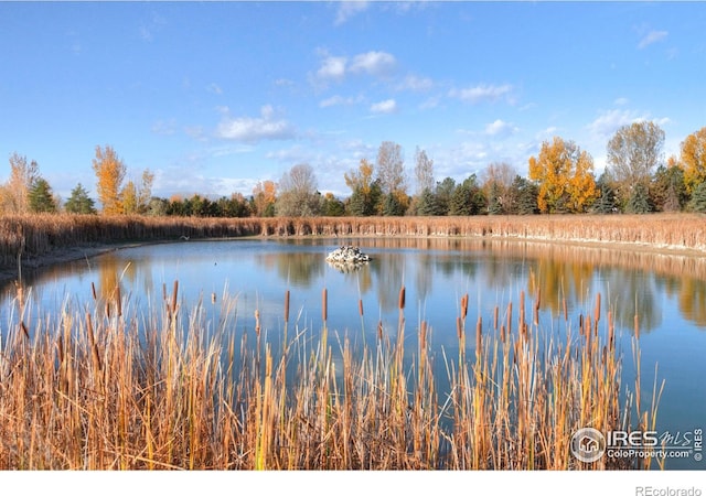 property view of water