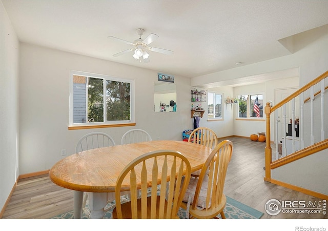 dining room with ceiling fan and light hardwood / wood-style flooring