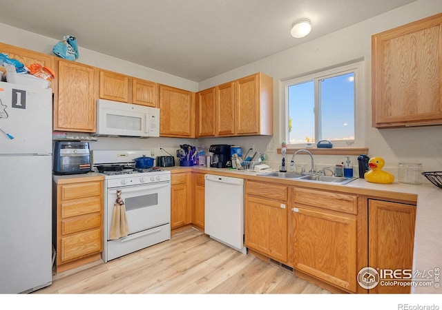 kitchen with sink, white appliances, and light hardwood / wood-style flooring