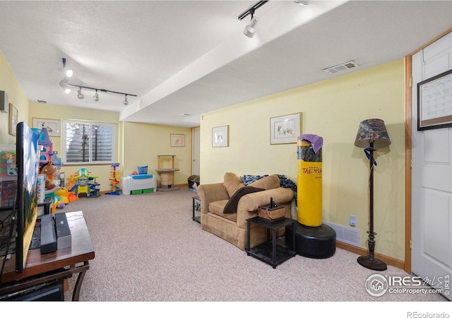 living room with a textured ceiling, carpet flooring, and rail lighting