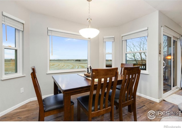 dining space with dark hardwood / wood-style flooring and a healthy amount of sunlight