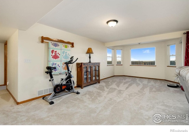 workout room with carpet floors