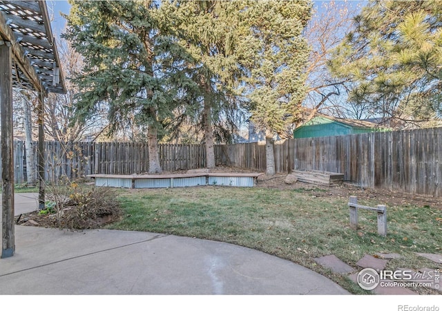 view of yard featuring a patio