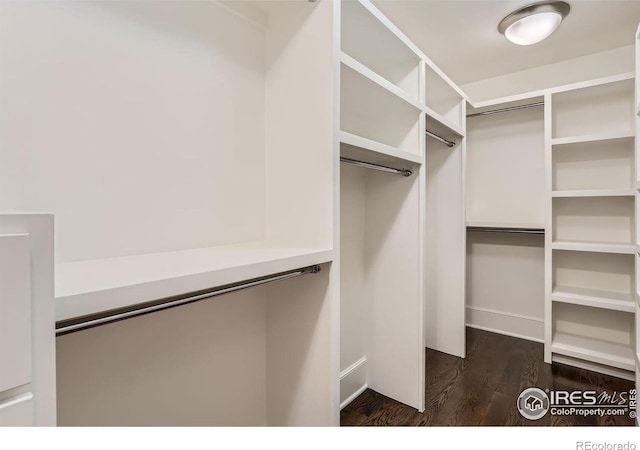 walk in closet featuring dark hardwood / wood-style flooring