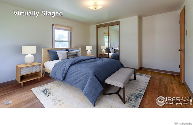 bedroom featuring hardwood / wood-style floors and a closet