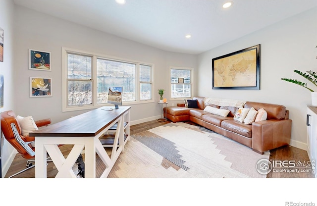 living room with wood-type flooring