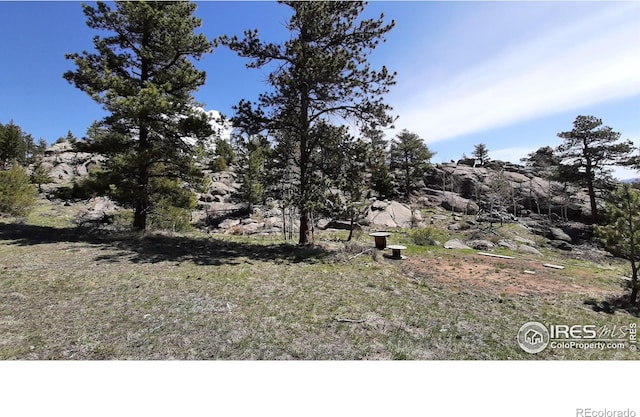 102 Mount Princeton Ct, Livermore, CO 80536 - photo 26