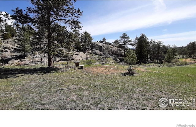 102 Mount Princeton Ct, Livermore CO, 80536 land for sale