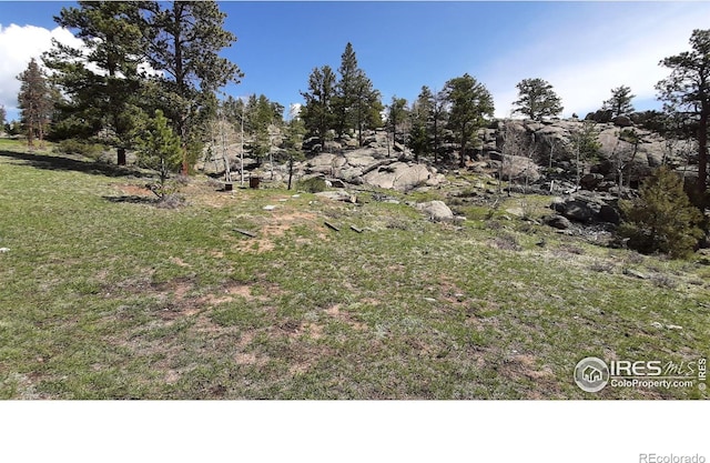 102 Mount Princeton Ct, Livermore, CO 80536 - photo 4