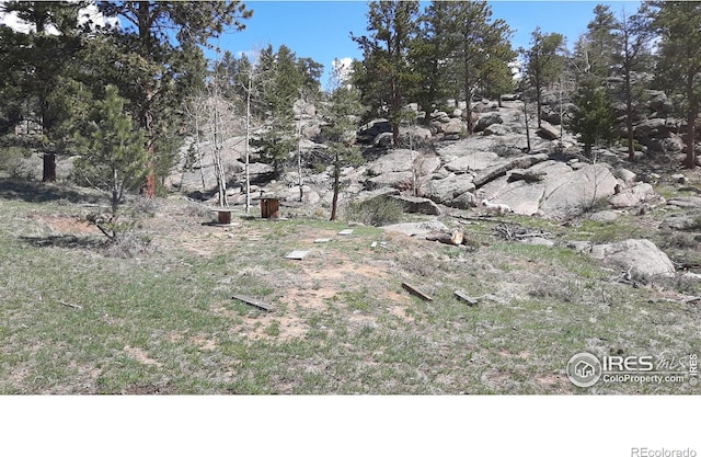 102 Mount Princeton Ct, Livermore, CO 80536 - photo 22