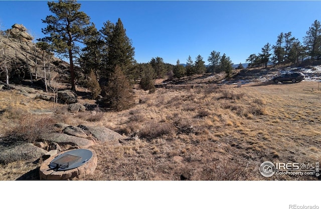 102 Mount Princeton Ct, Livermore, CO 80536 - photo 35