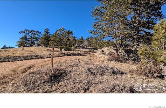 102 Mount Princeton Ct, Livermore, CO 80536 - photo 40
