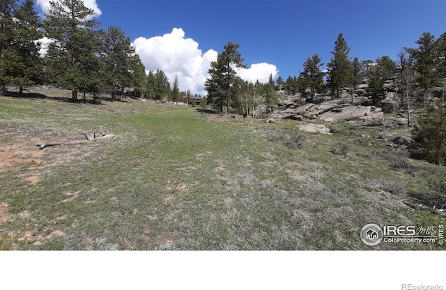 102 Mount Princeton Ct, Livermore, CO 80536 - photo 17