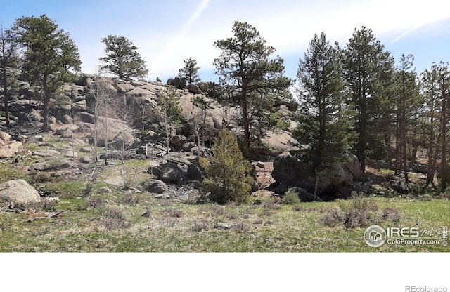 102 Mount Princeton Ct, Livermore, CO 80536 - photo 19