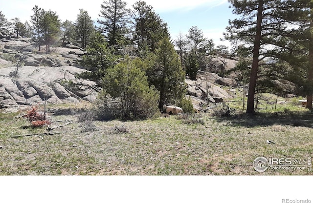 102 Mount Princeton Ct, Livermore, CO 80536 - photo 23